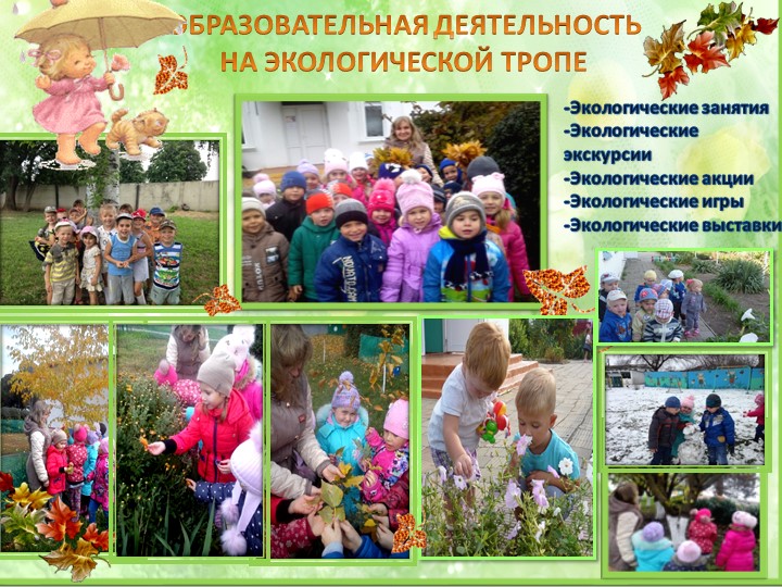 Презентация опыта работы по экологии "Будь природе другом"