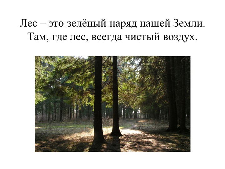 Презентация. "Лес -наше богатство"