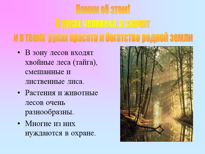 Презентация. "Лес -наше богатство"