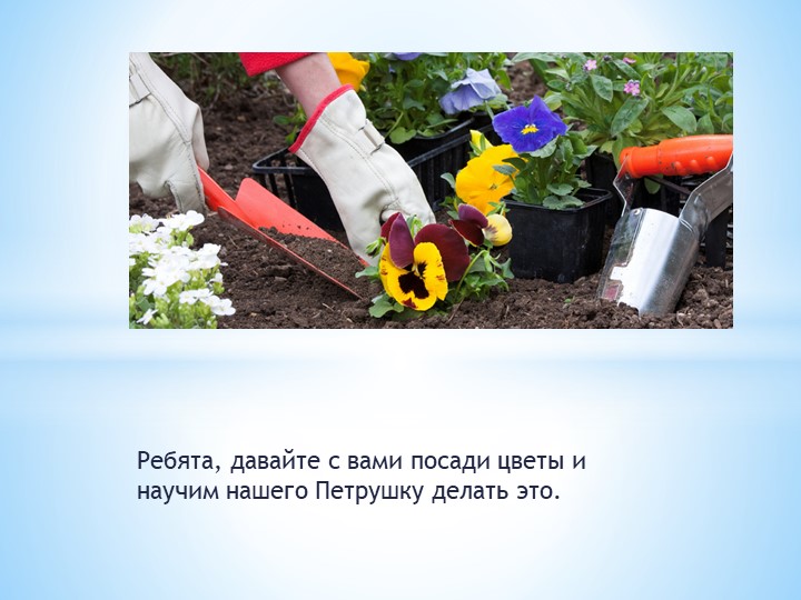 Презентация по окружающему миру "Петрушка идет трудиться"