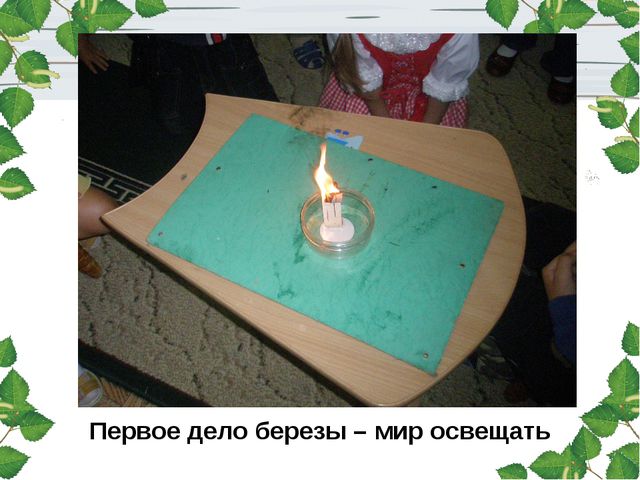 Берёза. Презентация для детей