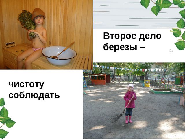 Берёза. Презентация для детей