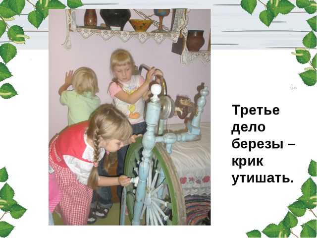 Берёза. Презентация для детей