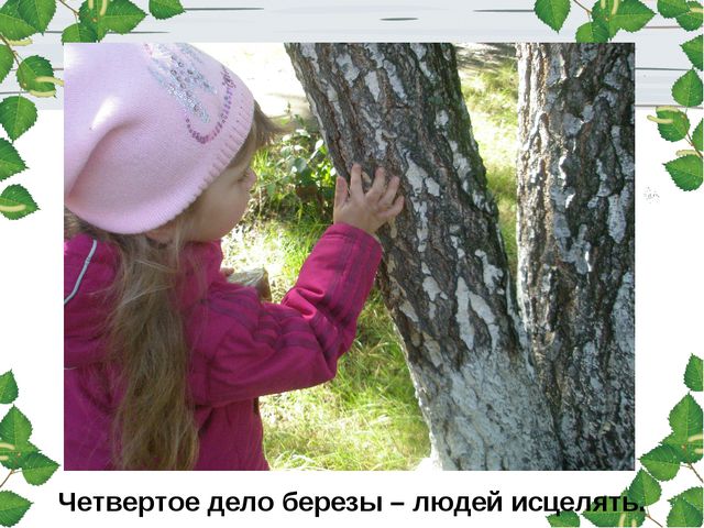 Берёза. Презентация для детей
