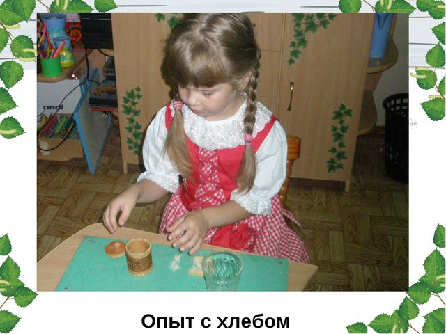Берёза. Презентация для детей