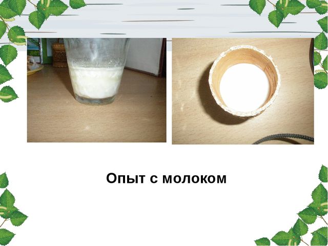 Берёза. Презентация для детей
