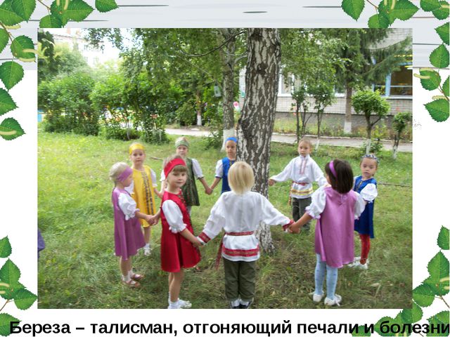 Берёза. Презентация для детей