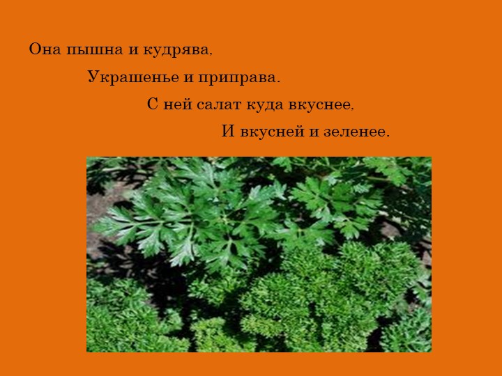 Презентация Что нам осень принесла