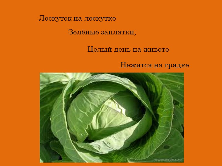 Презентация Что нам осень принесла