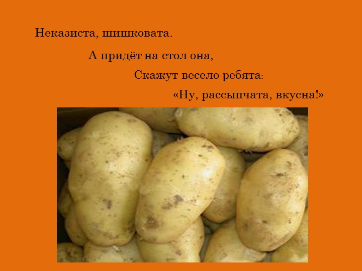 Презентация Что нам осень принесла
