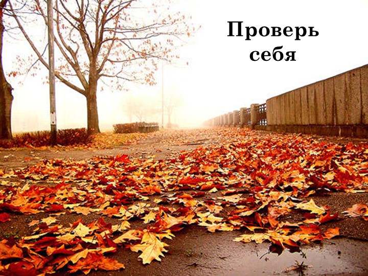 Презентация Что нам осень принесла