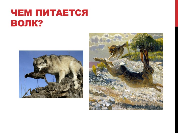 Презентация на тему "Лесные жители"