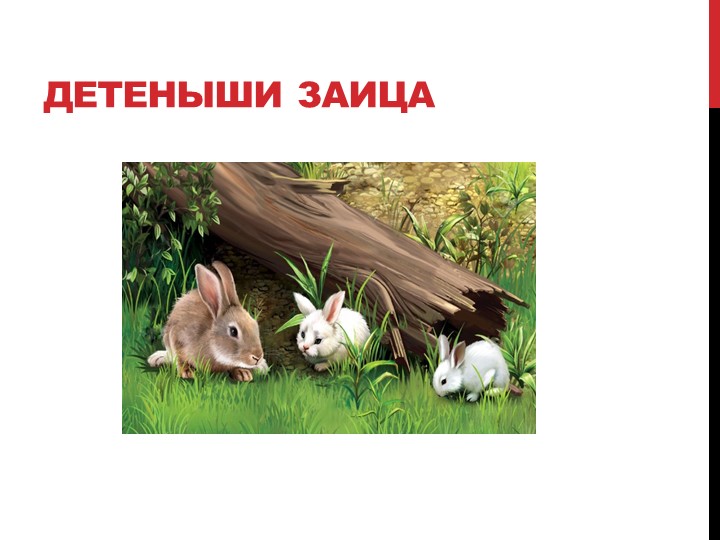 Презентация на тему "Лесные жители"