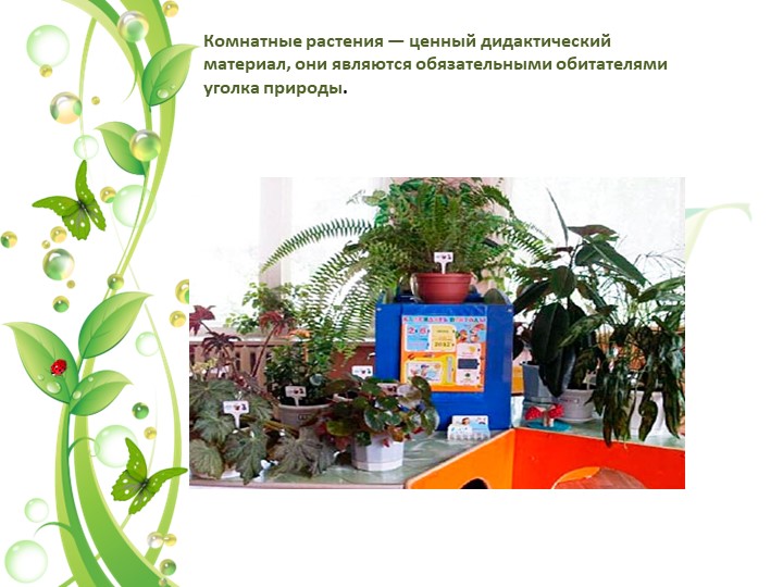 Презентация на тему "Уголок природы в экологическом воспитании дошкольников в младшем возрасте"