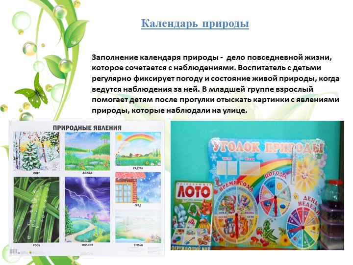 Презентация на тему "Уголок природы в экологическом воспитании дошкольников в младшем возрасте"