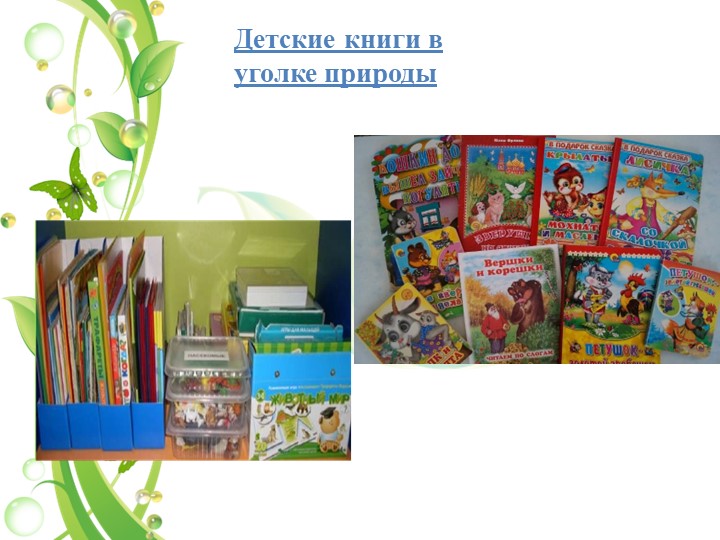 Презентация на тему "Уголок природы в экологическом воспитании дошкольников в младшем возрасте"