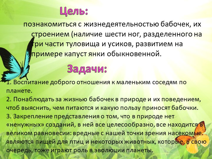 Экологический проект "Бабочка - Красавица"