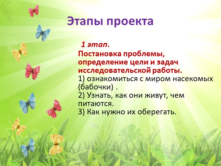 Экологический проект "Бабочка - Красавица"