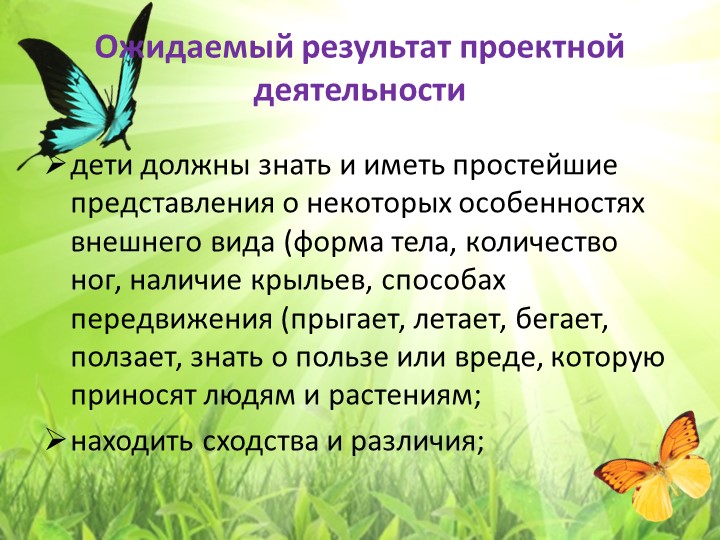 Экологический проект "Бабочка - Красавица"