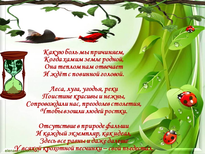 Презентация по окружающему миру "Экология нашего города"
