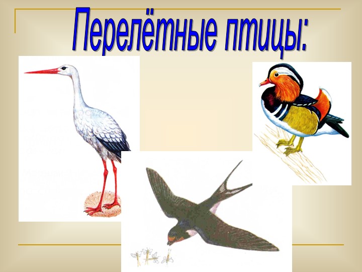Презентация по окружающему миру "Осень золотая"