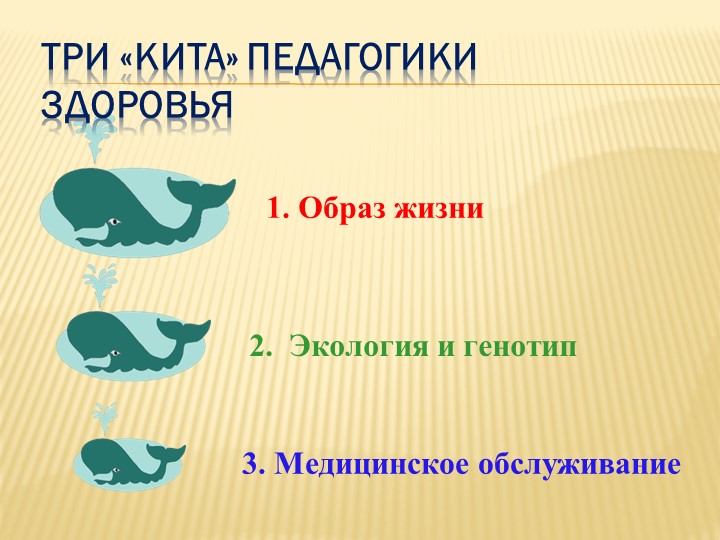 Презентация форум "Здоровый образ жизни"