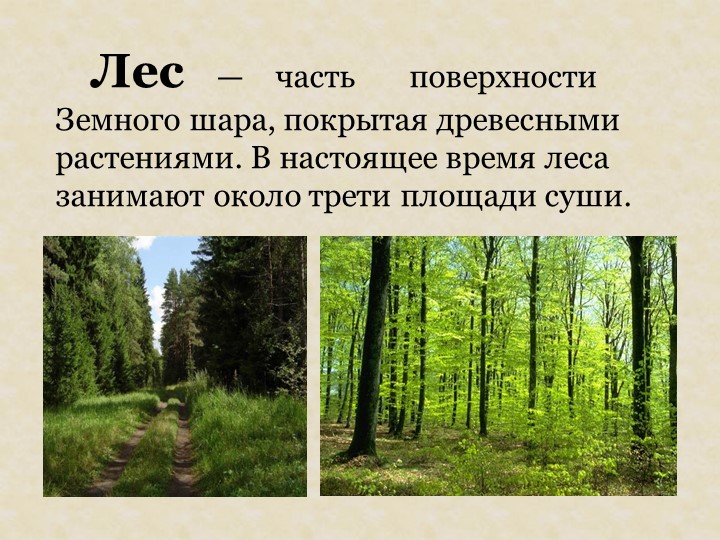 Презентация на тему: "Красная книга".
