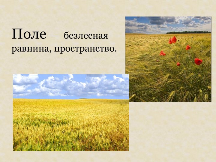 Презентация на тему: "Красная книга".