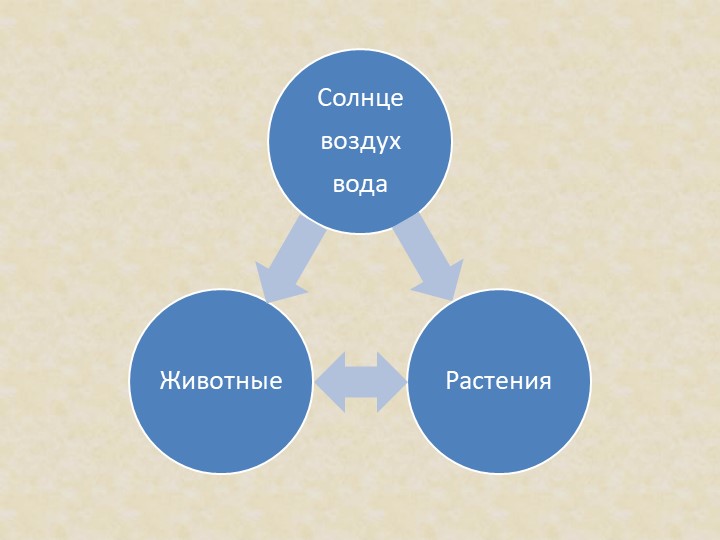 Презентация на тему: "Красная книга".