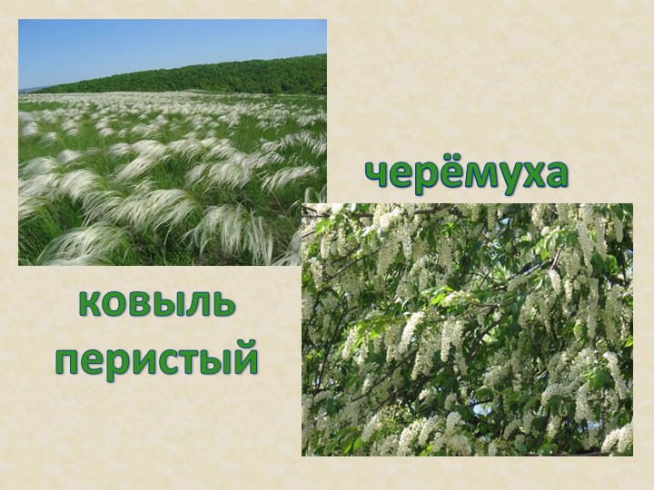 Презентация на тему: "Красная книга".