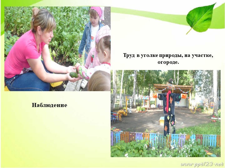 Презентация по экологическому воспитанию