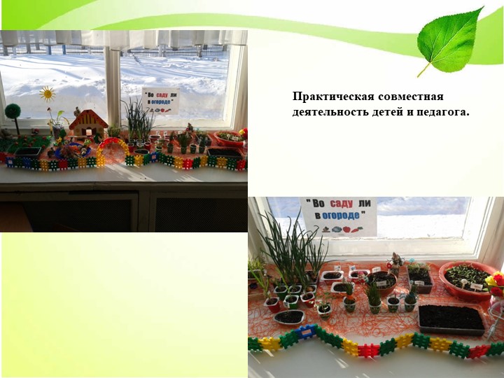 Презентация по экологическому воспитанию