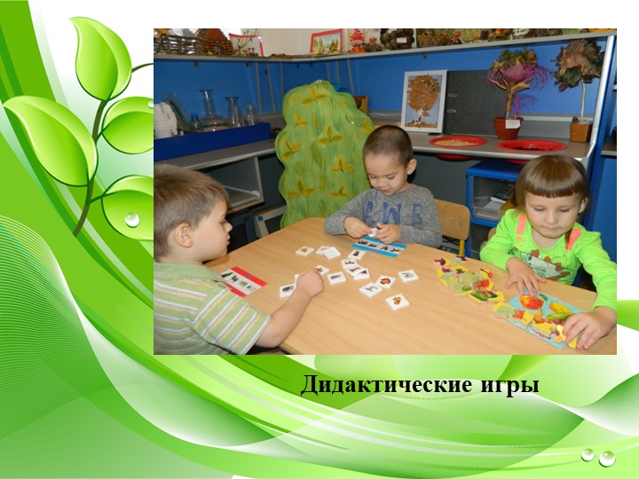 Презентация по экологическому воспитанию