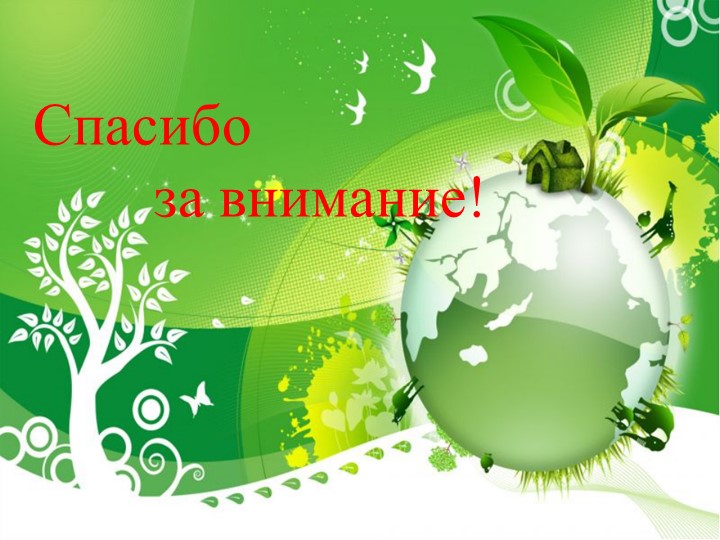 Презентация по экологическому воспитанию