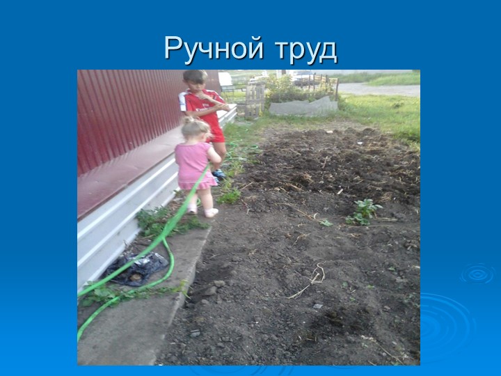 Презентация по экологическому воспитанию