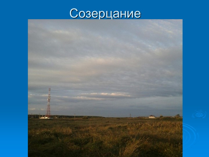 Презентация по экологическому воспитанию