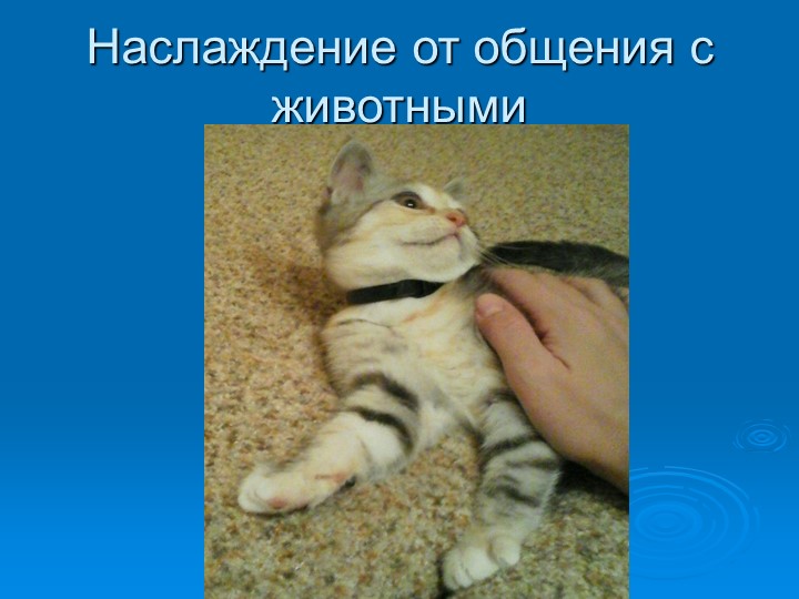 Презентация по экологическому воспитанию