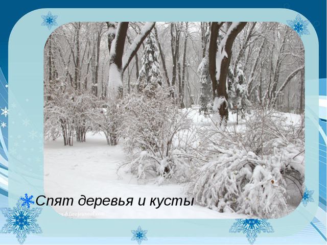 Как узнать зиму? Презентация