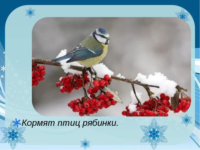 Как узнать зиму? Презентация