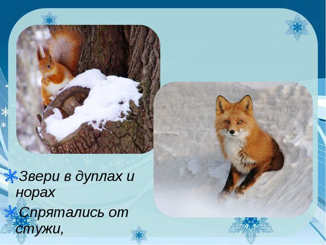 Как узнать зиму? Презентация