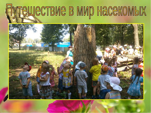 Наши друзья - насекомые. Презентация для детей