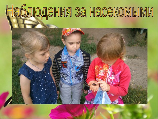 Наши друзья - насекомые. Презентация для детей