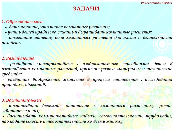 Презентация на тему "Комнатные растения" нашей группы