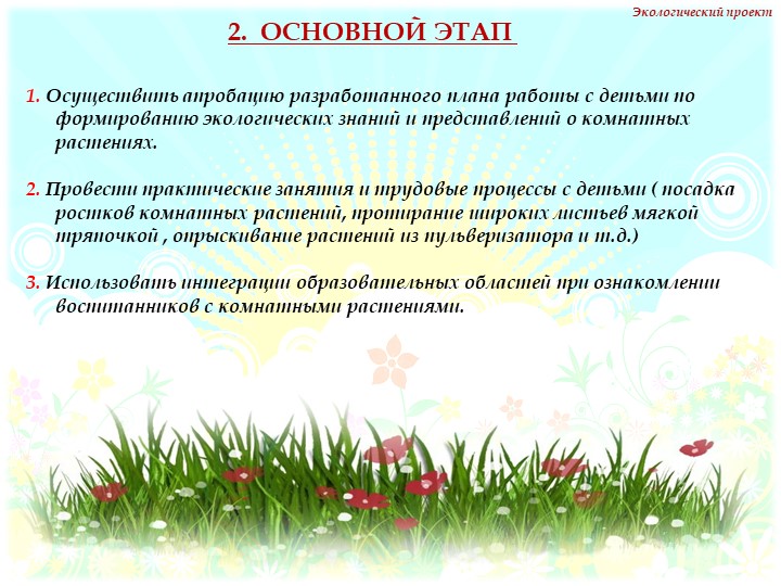 Презентация на тему "Комнатные растения" нашей группы