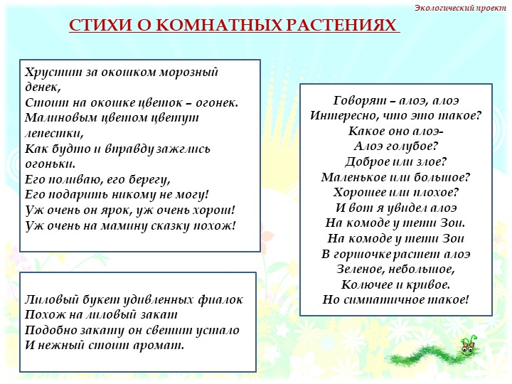 Презентация на тему "Комнатные растения" нашей группы