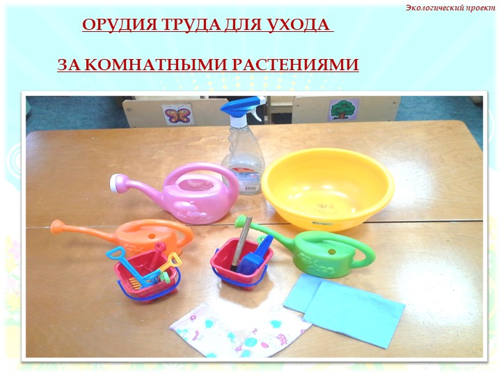 Презентация на тему "Комнатные растения" нашей группы