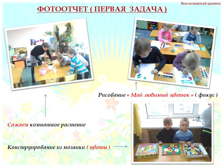 Презентация на тему "Комнатные растения" нашей группы