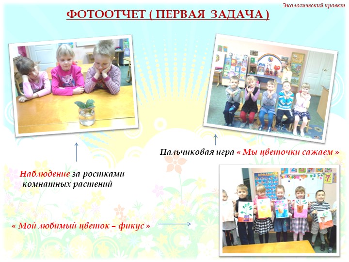 Презентация на тему "Комнатные растения" нашей группы