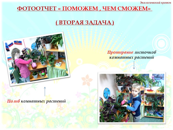 Презентация на тему "Комнатные растения" нашей группы