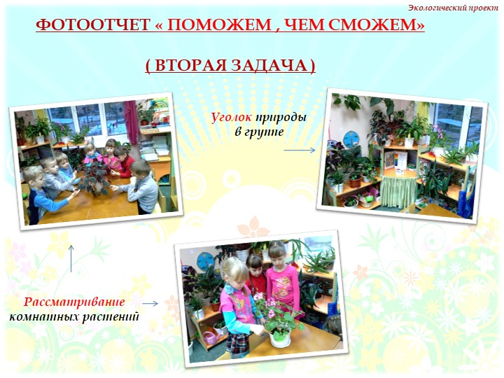 Презентация на тему "Комнатные растения" нашей группы